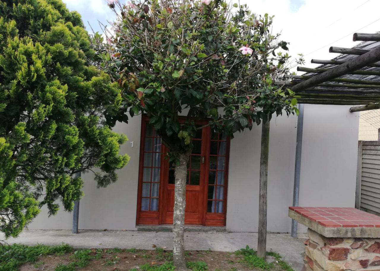 La Maison On 3Rd Guesthouse Port Elizabeth Esterno foto